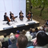 Benneckenstein 2019 (Foto: Christine Trosin, Neue Wernigeröder Zeitung)