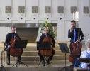 Beim Konzert in der Christkönigskirche in Fürth am 02.08.2015. (Foto: Archiv)