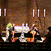 Die Vier EvangCellisten (projects4cellos) in der Katholischen Pfarrkirche Heilige Dreifaltigkeit (Dreifaltigkeitskirche) in Stralsund 2010 (Foto: Archiv)