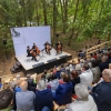 Die Vier EvangCellisten in Benneckenstein / Festival THEATERNATUR 2019 (Foto: Frank Drechsler)