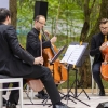 Die Vier EvangCellisten in Benneckenstein / Festival THEATERNATUR 2019 (Foto: Frank Drechsler)