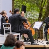 Die Vier EvangCellisten in Benneckenstein / Festival THEATERNATUR 2019 (Foto: Frank Drechsler)