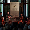 projects4cellos bei ihrem Konzert in der Villa Sauer in Suhl 2024 (Foto: Archiv)